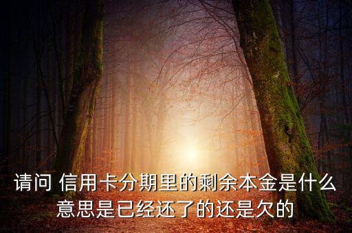 分期付息的本金是什么，請問 信用卡分期里的剩余本金是什么意思是已經(jīng)還了的還是欠的