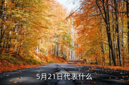5月21日是什么意思，5月21日代表什么