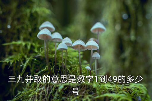 三九并取的意思是數(shù)字1到49的多少號
