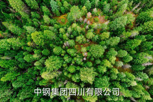 中鋼什么級(jí)別，中尉是什么等級(jí)
