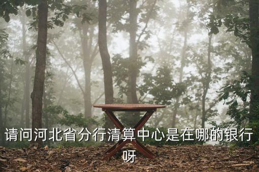 河北省分行清算中心是什么，請問河北省分行清算中心是在哪的銀行呀