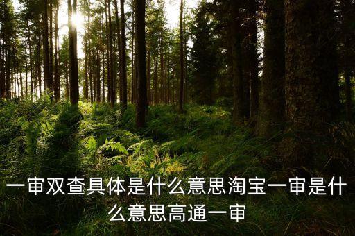 雙審是什么意思，雙審什么意思