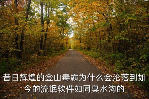 昔日輝煌的金山毒霸為什么會(huì)淪落到如今的流氓軟件如同臭水溝的