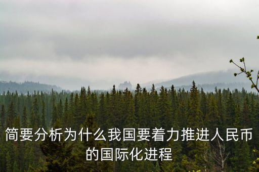 簡要分析為什么我國要著力推進人民幣的國際化進程