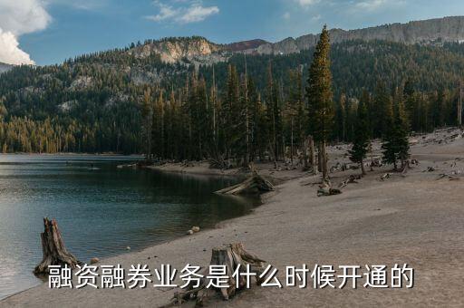 今年融券政策什么時候放開的，融資融券什么時候開始