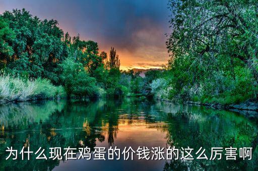 雞蛋價(jià)格為什么上漲，為什么雞蛋漲價(jià)這么厲害