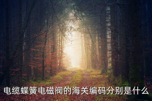 電纜蝶簧電磁閥的海關編碼分別是什么