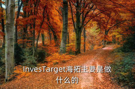 InvesTarget海拓主要是做什么的