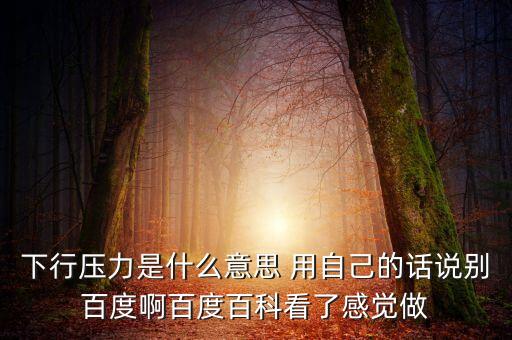 什么是下行壓力，應(yīng)對(duì)經(jīng)濟(jì)下行壓力還有哪些策略