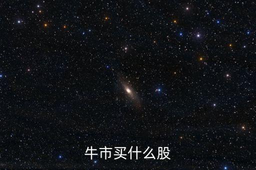 牛市買什么股