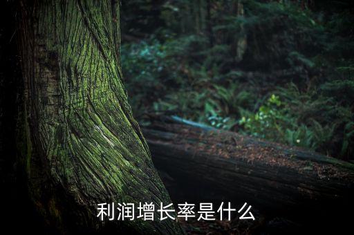 什么事利潤增長點(diǎn)，利潤增加率是什么是什么意思