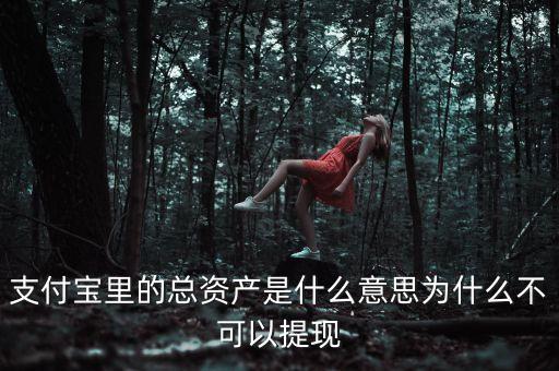 支付寶里的總資產(chǎn)是什么意思為什么不可以提現(xiàn)
