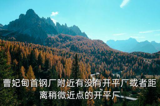 曹妃甸首鋼廠附近有沒有開平廠或者距離稍微近點(diǎn)的開平廠