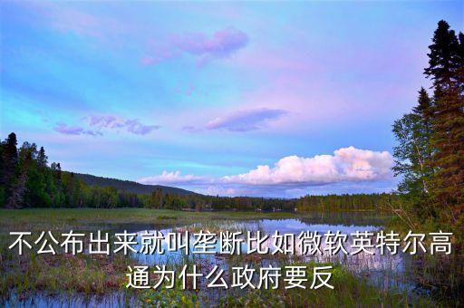 不公布出來就叫壟斷比如微軟英特爾高通為什么政府要反