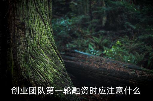 創(chuàng)業(yè)團(tuán)隊(duì)第一輪融資時(shí)應(yīng)注意什么