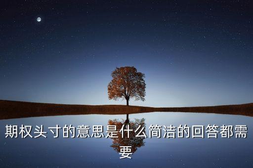 期權(quán)頭寸的意思是什么簡潔的回答都需要