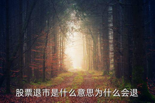 股票退市是什么意思為什么會退