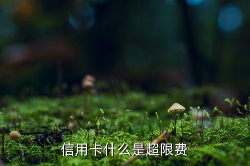 信用卡什么是超限費(fèi)