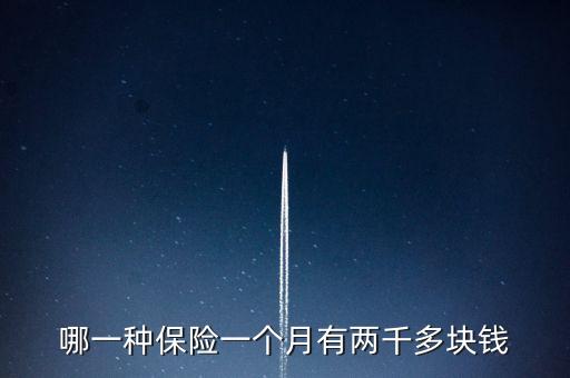 哪一種保險(xiǎn)一個(gè)月有兩千多塊錢