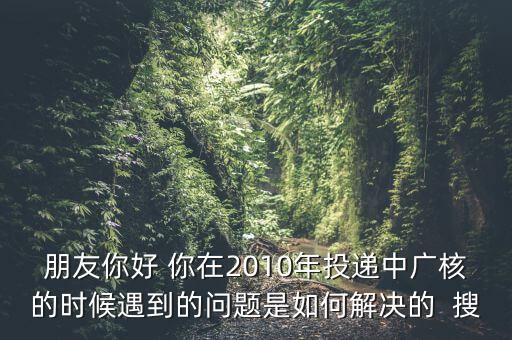 朋友你好 你在2010年投遞中廣核的時(shí)候遇到的問題是如何解決的  搜
