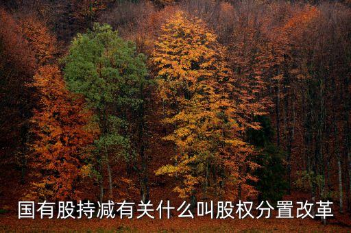 國有股持減有關什么叫股權分置改革