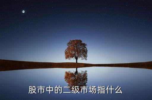 什么是股票的二級(jí)市場(chǎng)，什么是股市二級(jí)市場(chǎng)
