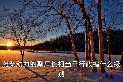 濰柴譚旭光什么級別，濰柴動力股份有限公司董事長是誰