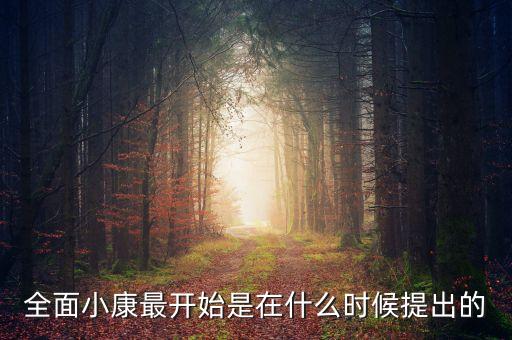 全面小康最開始是在什么時候提出的