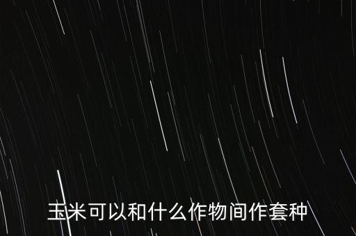 玉米可以和什么作物間作套種