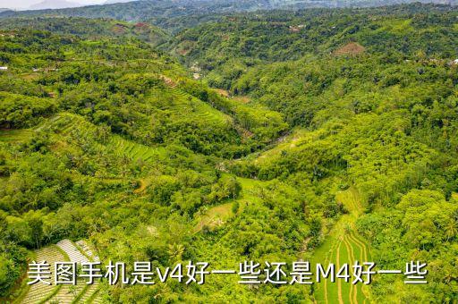 美圖v4什么時(shí)候發(fā)布，美圖v4多久上市呢天貓和京東商城多久才能上市呢