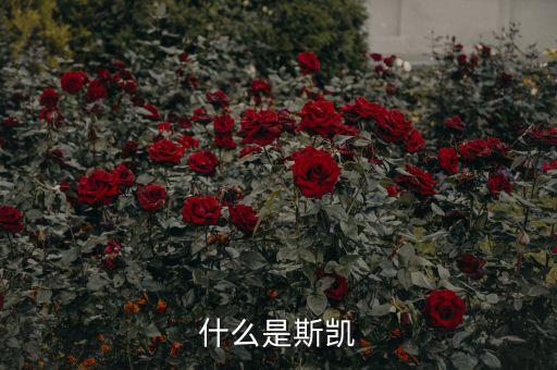 海洋核動力平臺是什么，什么是斯凱