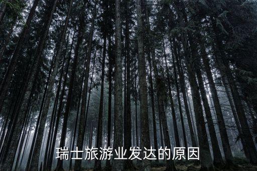 瑞士為什么那么發(fā)達(dá)，瑞士領(lǐng)土面積并不大為什么成為歐洲最富有的國(guó)家 簡(jiǎn)直比德國(guó)還狠