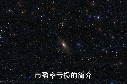 市盈率虧損的簡介