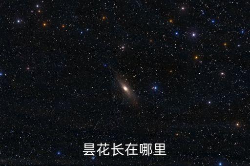 曇花長在哪里