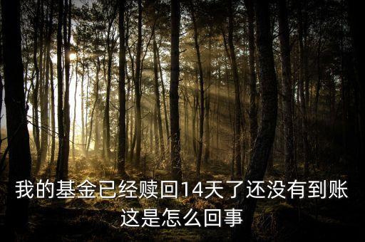 我的基金已經贖回14天了還沒有到賬這是怎么回事