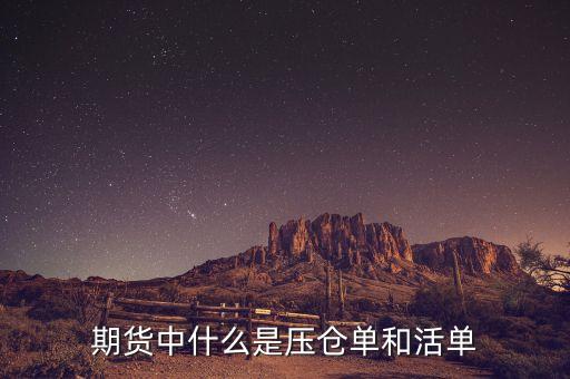 上海期貨交易所標準倉單是什么，期貨中倉單是什么