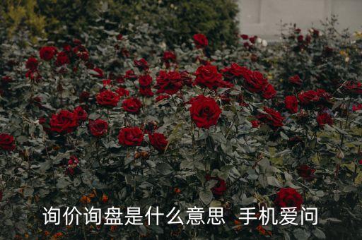 詢價(jià)詢盤是什么意思  手機(jī)愛問