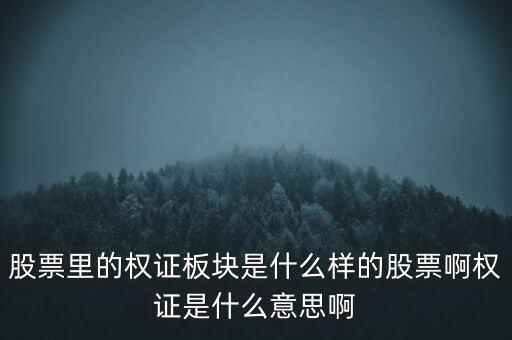 股票里的權(quán)證板塊是什么樣的股票啊權(quán)證是什么意思啊