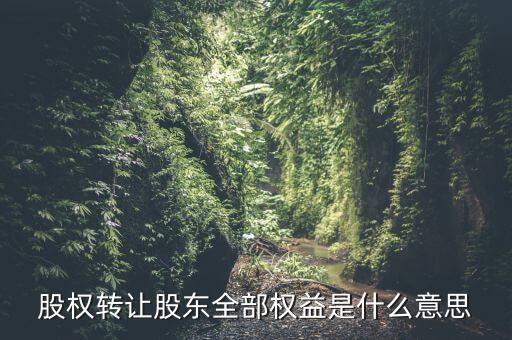 什么是全權(quán)益公司，股權(quán)轉(zhuǎn)讓股東全部權(quán)益是什么意思