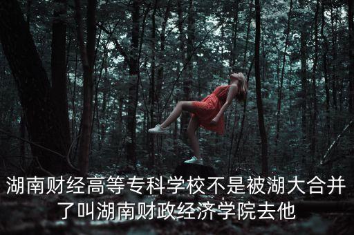 湖南財(cái)經(jīng)高等?？茖W(xué)校不是被湖大合并了叫湖南財(cái)政經(jīng)濟(jì)學(xué)院去他