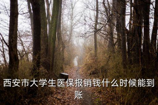 大學(xué)生醫(yī)保什么時候到賬，大學(xué)生武漢醫(yī)保報銷費什么時候到帳啊