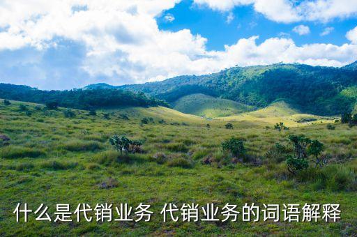 什么是銀行代銷業(yè)務(wù)，什么是銀行代銷理財(cái)產(chǎn)品