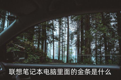 聯(lián)想筆記本電腦里面的金條是什么