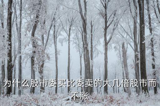 為什么股市委買(mǎi)比委賣(mài)的大幾倍股市而不漲