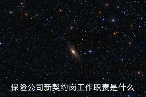 新契約保險保的什么內(nèi)容，新契約保險是不是為商業(yè)保險