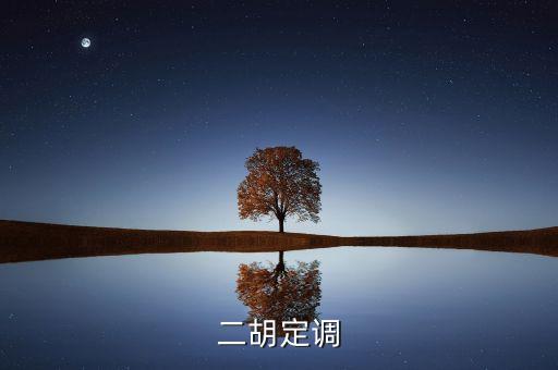 定調(diào)什么意思，二胡定調(diào)