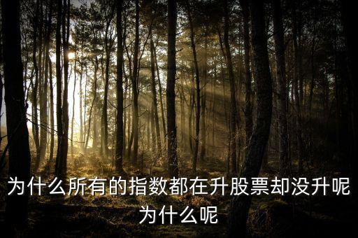 為什么所有的指數(shù)都在升股票卻沒(méi)升呢為什么呢