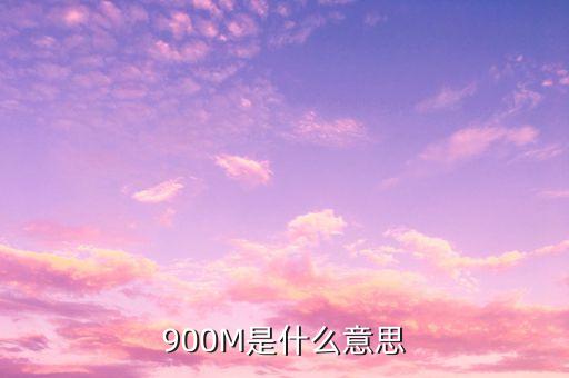 負(fù)債900m是什么意思，900m是什么意思