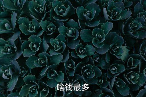 什么錢最多，什么錢最多