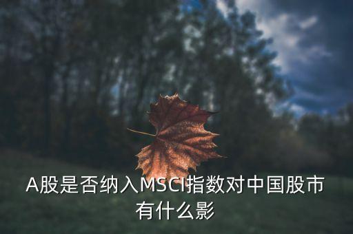 加入明晟指數(shù)有什么用，中國A股納入明晟會有什么影響